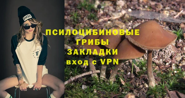 ГАЛЛЮЦИНОГЕННЫЕ ГРИБЫ Армянск