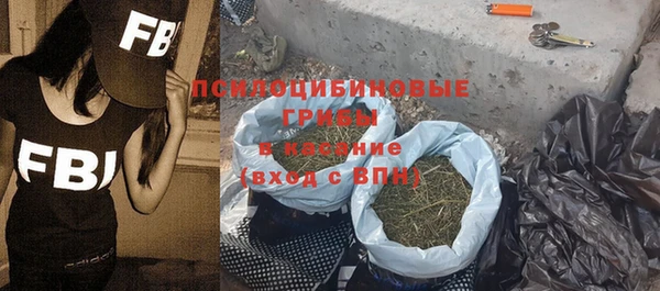 ГАЛЛЮЦИНОГЕННЫЕ ГРИБЫ Армянск