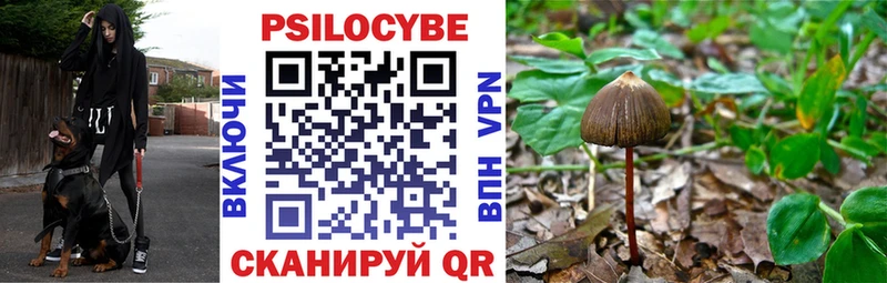 Псилоцибиновые грибы Cubensis  Михайловка 