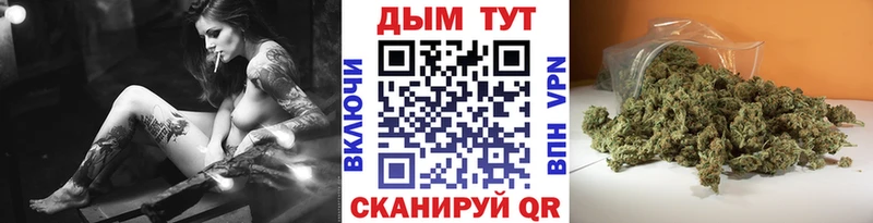Конопля OG Kush Михайловка